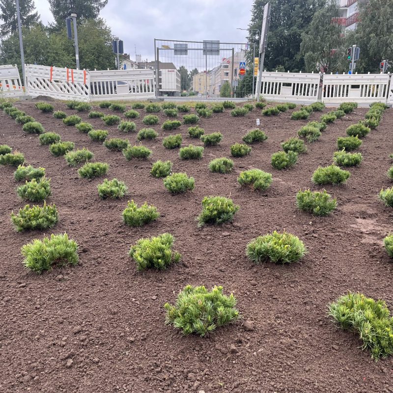 85cfcaae-fe62-4546-a38f-4e53779ec409 (1)