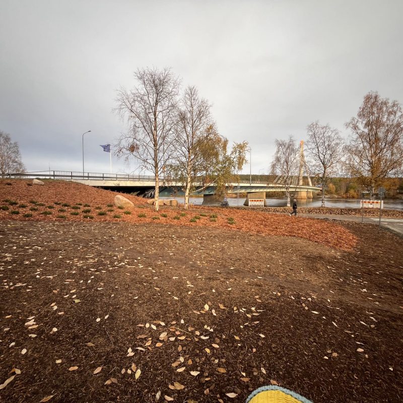 ce25c741-7e9a-4206-981b-8c1a6fe78326